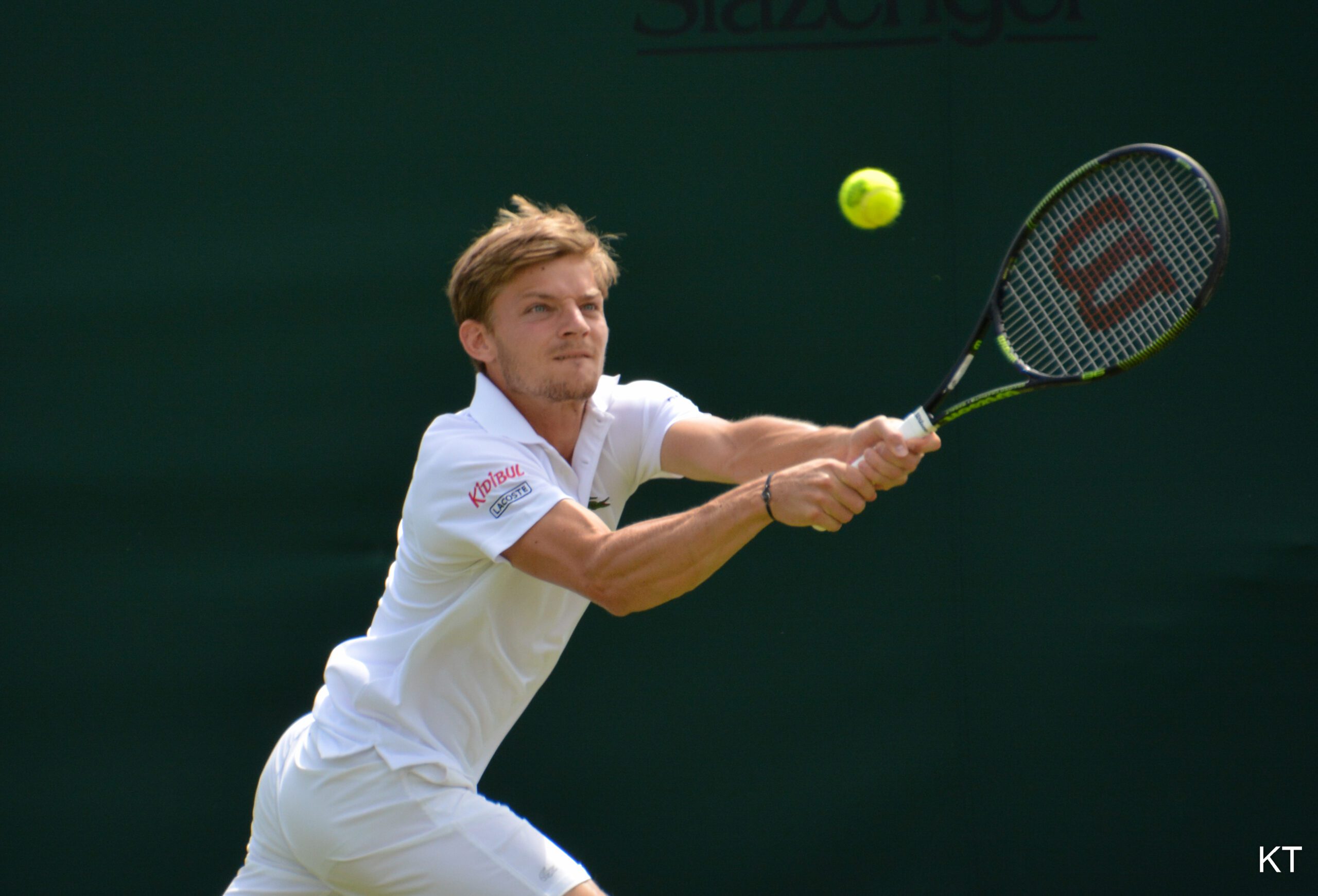 David Goffin