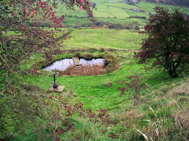 Britain Covey