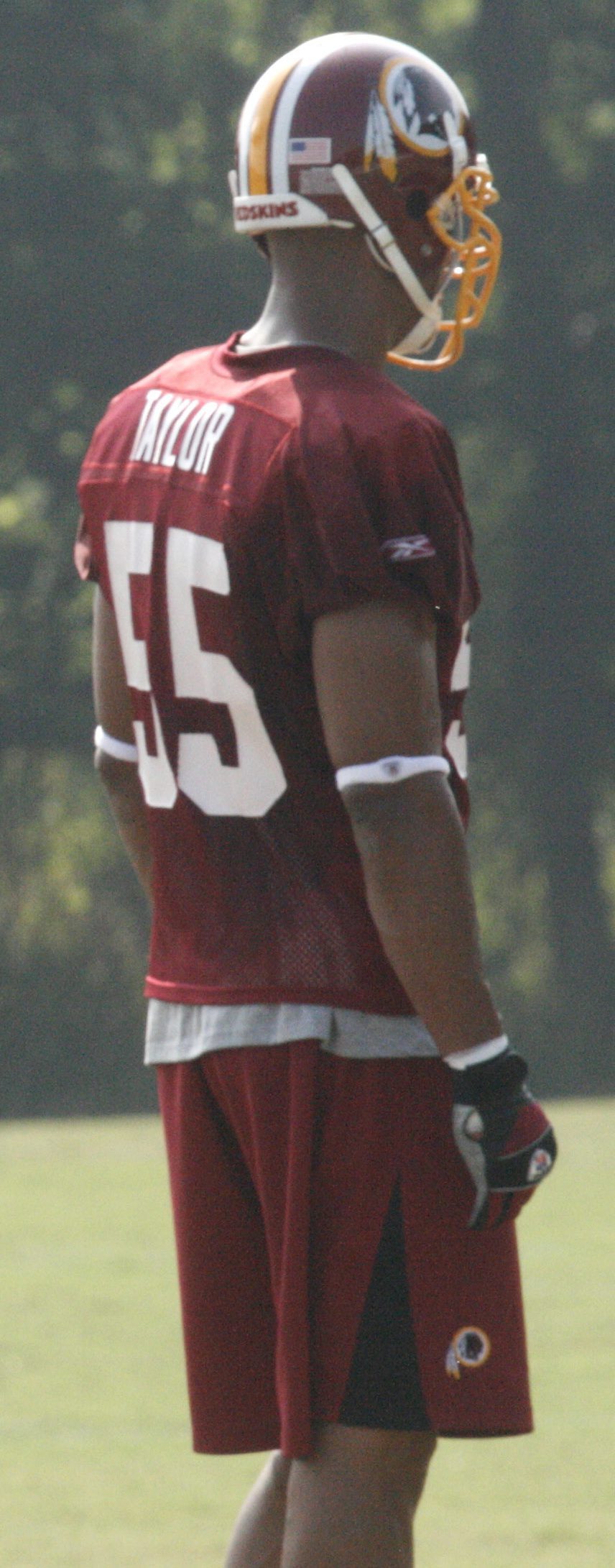 Jason Taylor