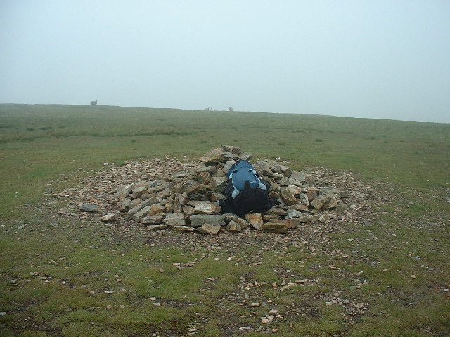 Miller Moss