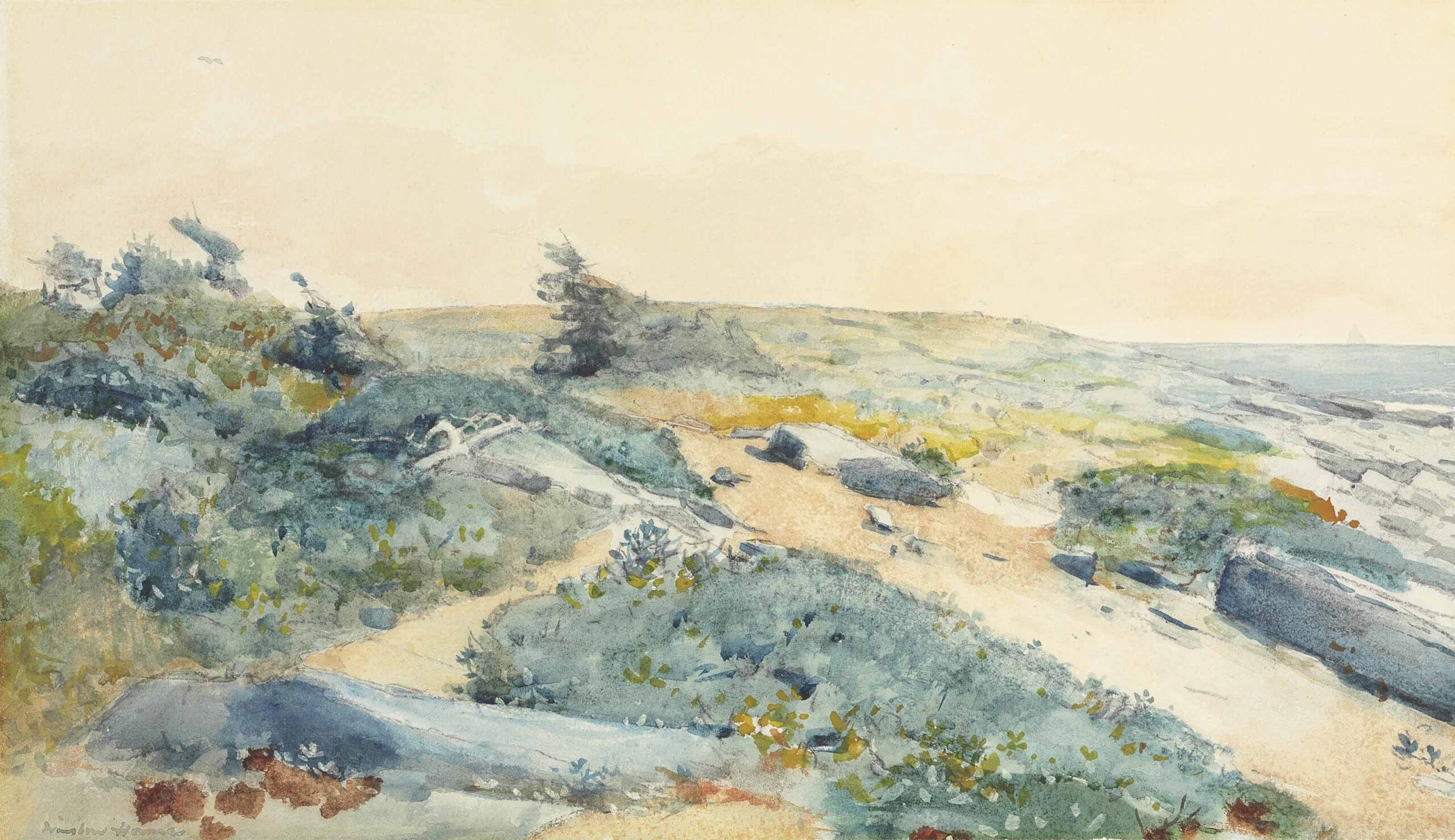 Catherine Corcoran