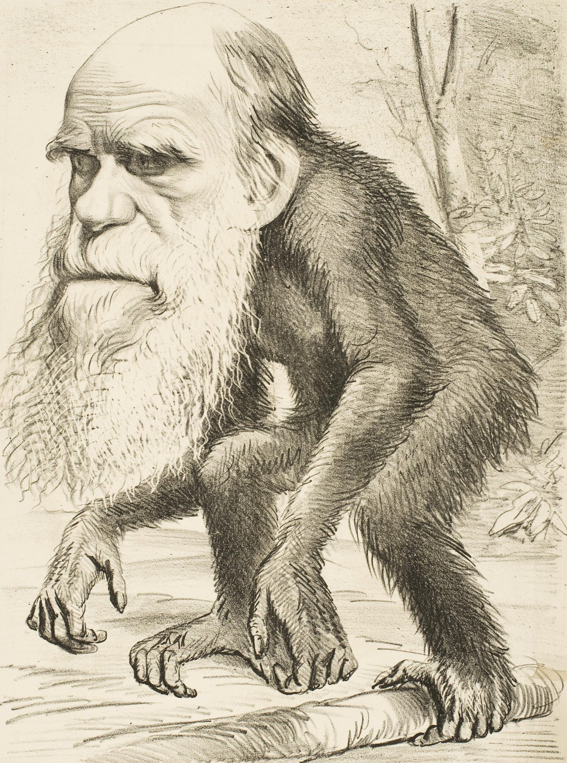 Darwin Nunez