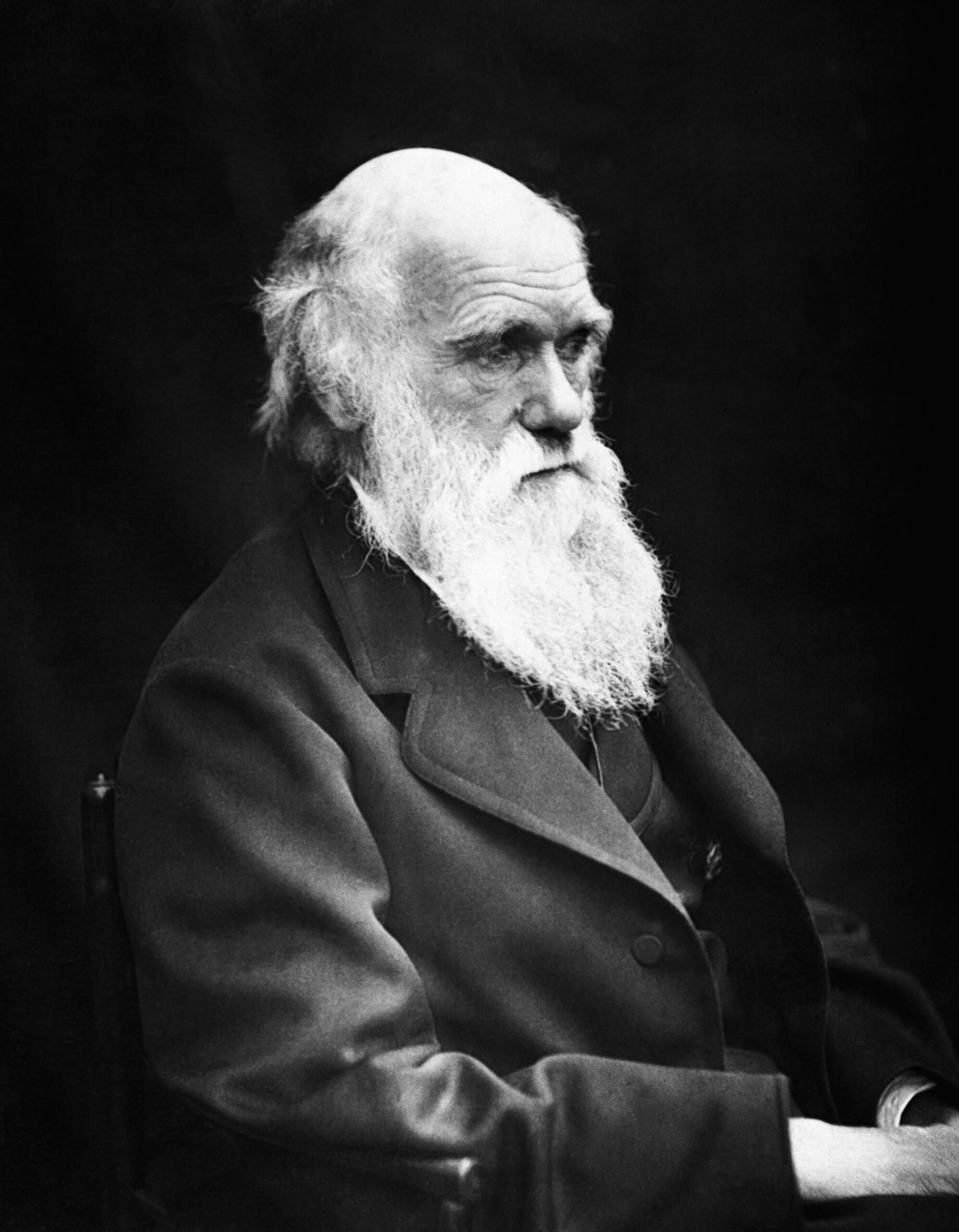 Charles White