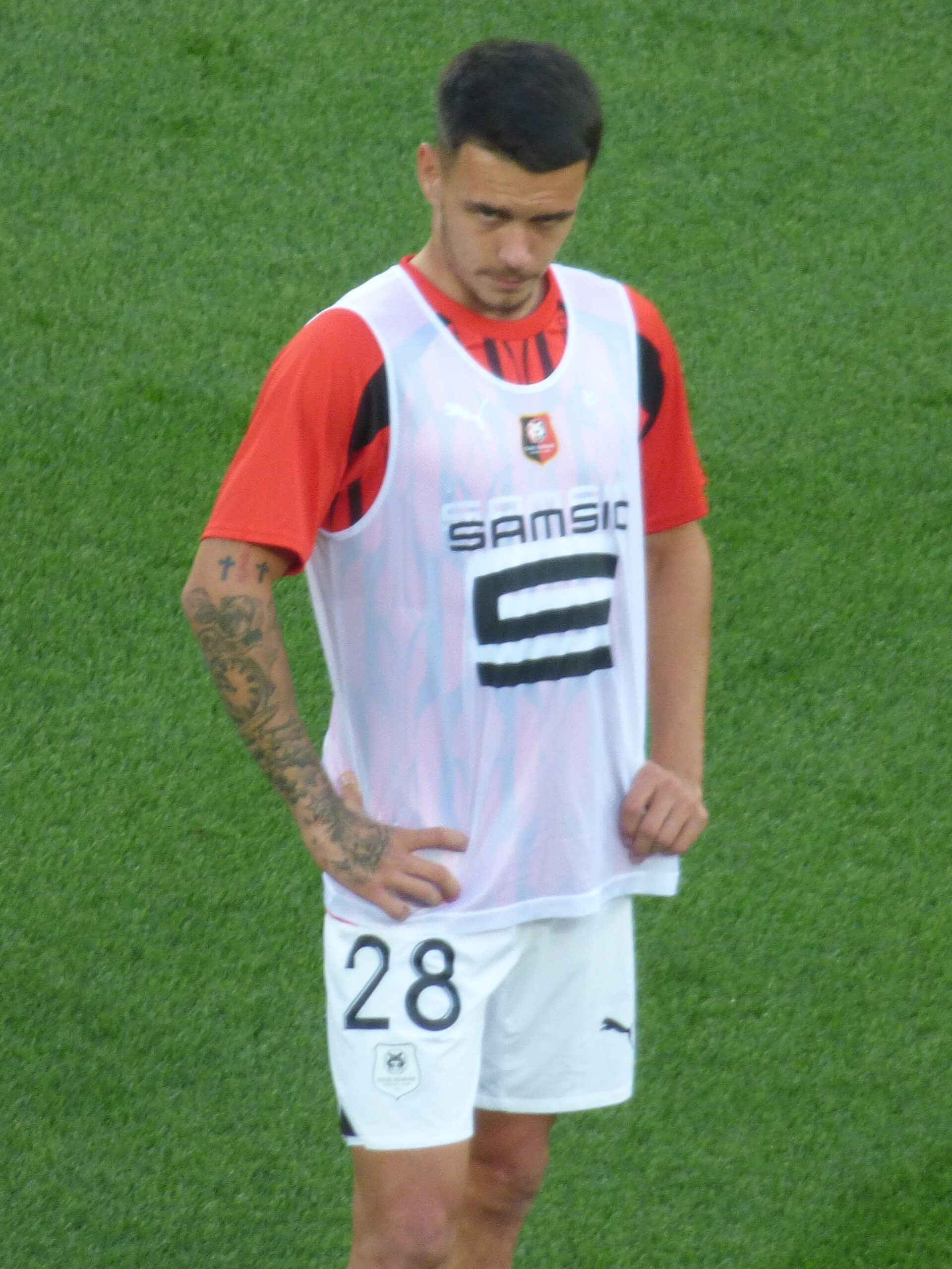 Enzo Le Fee