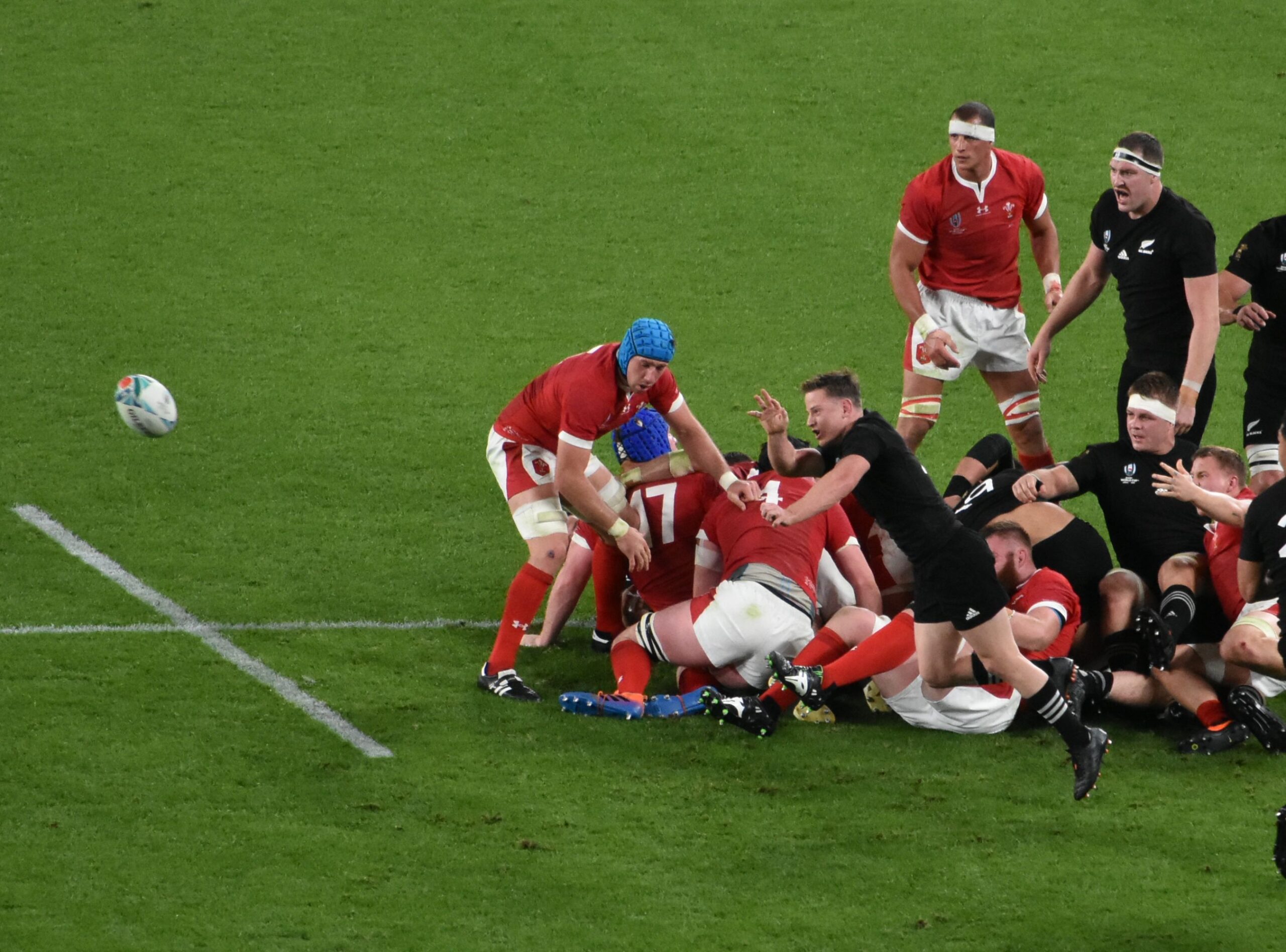 Carre Rugby Rhys Carre Wiki, Bio, Networth, GF, Wife, Family & More - DWB
