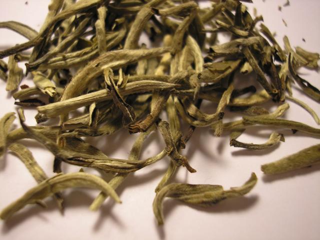 Yin Zheng