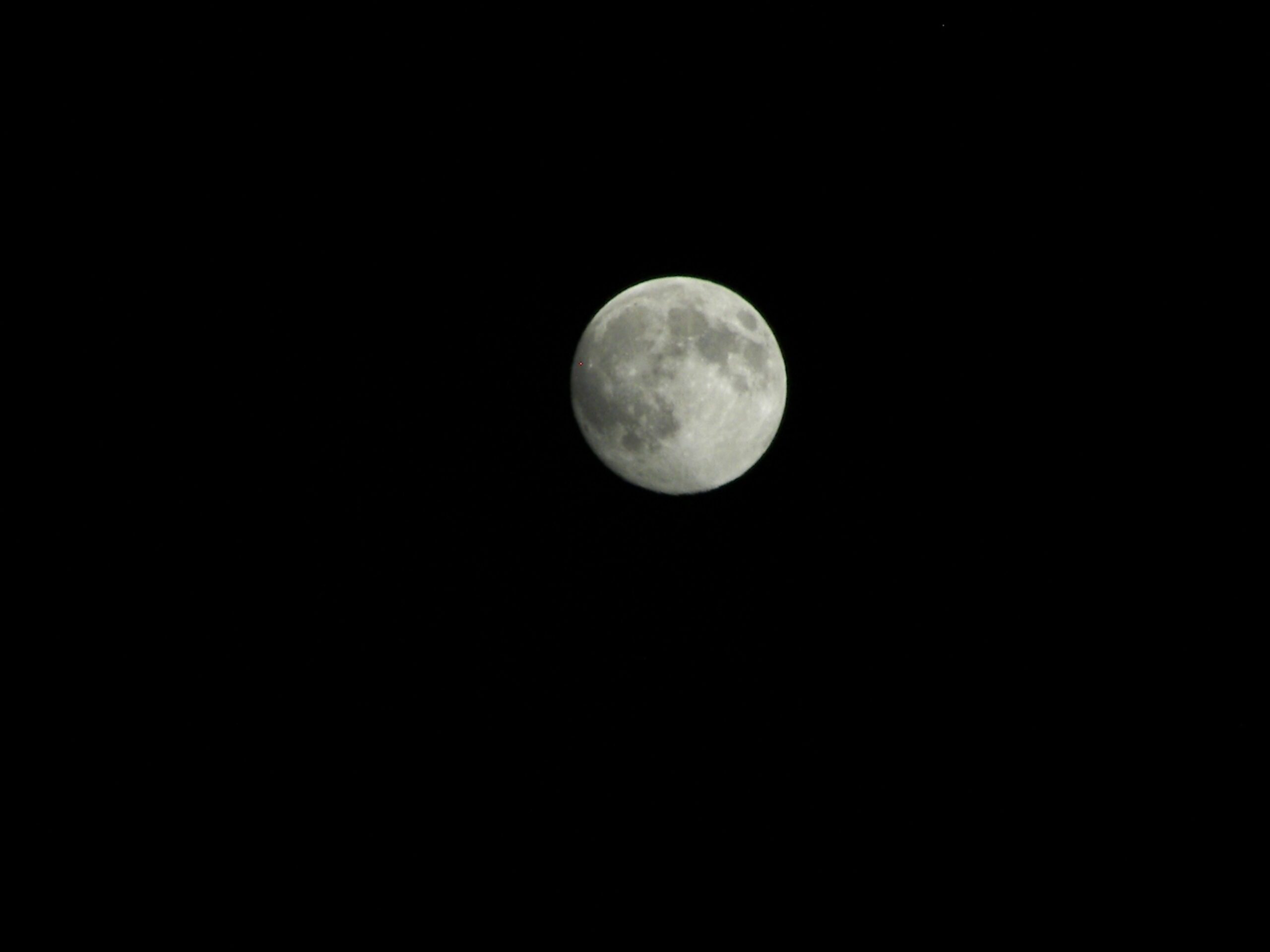 Nick Moon