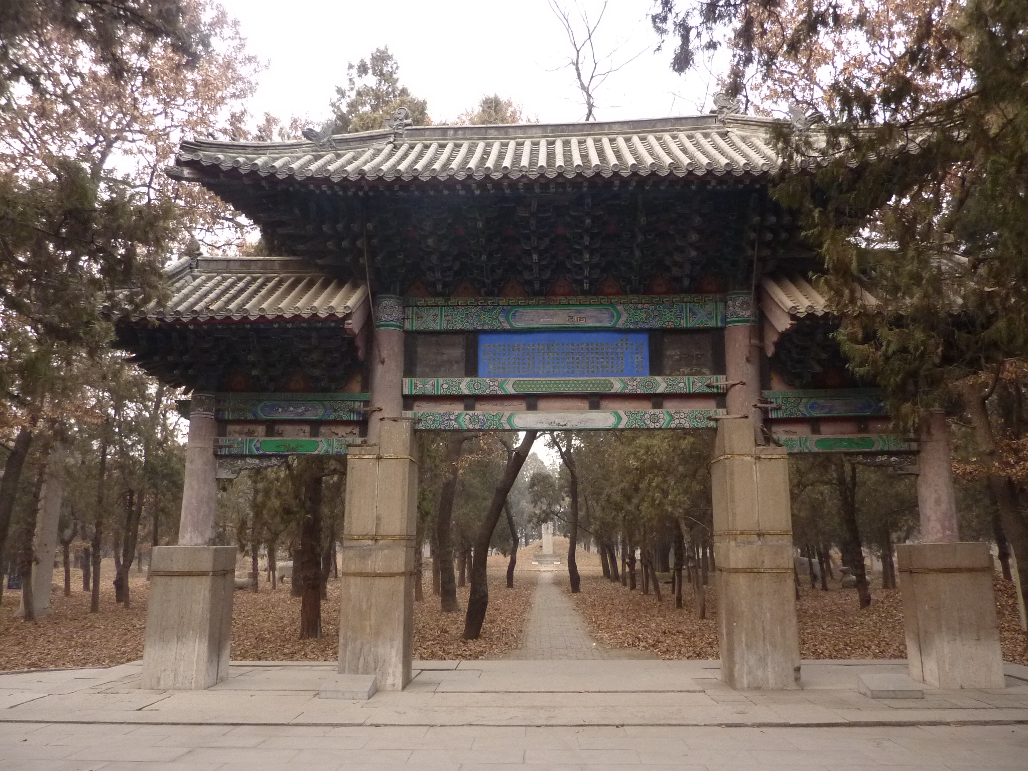 Yu-Min Lin