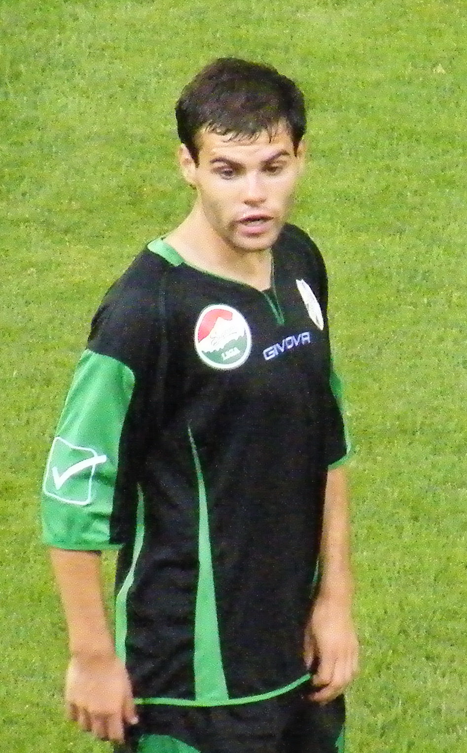 Nemanja Nikolic